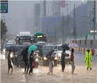  مصرع 33 شخصًا وفقدان 10 آخرين جراء الأمطار الغزيرة في كوريا الجنوبية