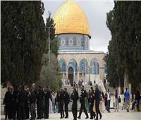 عشرات المستوطنين يقتحمون «الأقصى» والاحتلال الإسرائيلي يعتقل 3 من القدس