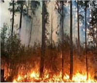 إجلاء 4 آلاف شخص بسبب حرائق الغابات في إسبانيا