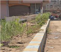 القليوبية تطلق مبادرة «قريتي جميلة ونظيفة» وتستهدف زراعة 3000 شجرة