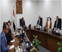رئيس الوزراء يلتقي الرئيس التنفيذي لشركة "أكوا باور" السعودية