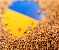 اليابان: تعليق روسيا مشاركتها في اتفاق تصدير الحبوب قرار «مؤسف»