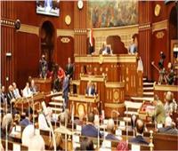 برلماني: منطقة الأعمال المركزية بالعاصمة الإدارية علامة فارقة في تاريخ النهضة العمرانية