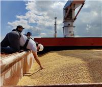 مسئول أوروبي: روسيا تتسبب في أزمة غذاء عالمية بسبب تعليق مشاركتها في اتفاق تصدير الحبوب