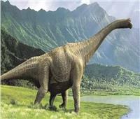اكتشاف ديناصور مصري جديد آكل للعشب