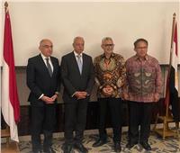 عقد الجولة السابعة للمشاورات السياسية بين مصر وإندونيسيا