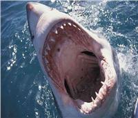 مفاجأة السلوك العدواني لأسماك القرش بسبب أدوية الهلوسة والمخدرات