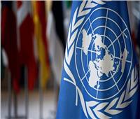 «كيب تاون» تستضيف اللقاء التاسع للجنة الأمم المتحدة لإدارة المعلومات الجيوفضائية