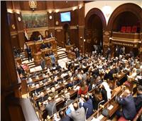 برلماني: مصر تلعب دوراً محورياً في تقديم الدعم للأشقاء بالسودان