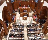 برلماني: نستمد من ذكرى 23 يوليو روح الإصرار والإرادة لاستكمال ملحمة مصر التنموية