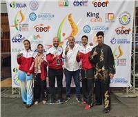 مصر تحصد 4 ذهبيات في اليوم الأول بالبطولة الأفريقية للكونغ فو