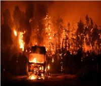 الجزائر.. رجال الإطفاء يكافحون حرائق الغابات في 7 ولايات