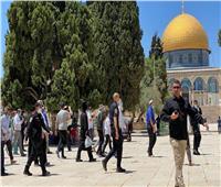 مُستوطنون يقتحمون باحات المسجد الأقصى بحماية الاحتلال الإسرائيلي