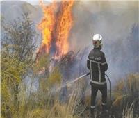 الداخلية الجزائرية: إخماد 80% من حرائق الغابات