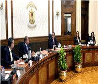 رئيس الوزراء يلتقي رئيس شركة «إندوراما» العالمية لمناقشة خططها التوسعية في مصر
