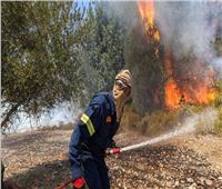 أغلبهم من الجزائر.. مصرع 40 شخصًا في حرائق الغابات بالبحر المتوسط