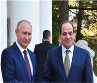 بث مباشر.. الرئيس السيسي يعقد لقاء قمة مع نظيره الروسي