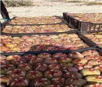 استقرار أسعار الفاكهة بسوق العبور اليوم.. التين من 12 إلى 18 جنيها للكيلو