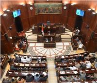 برلماني: اجتماع المصالحة بالعلمين يؤكد دور مصر الريادي والمحوري 