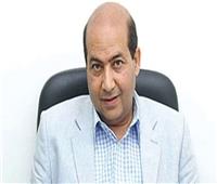 طارق الشناوي: أطلب من «المتحدة» الأستثمار في مهرجان العلمين | خاص