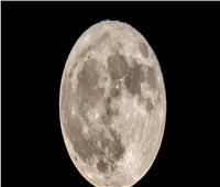 «قمر الحفش العملاق».. ظاهرة فلكية نادرة خلال الأيام المقبلة