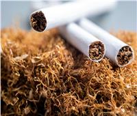 المركزي للإحصاء: مليار و 100 مليون جنيه صادرات مصر من التبغ والمعسل  