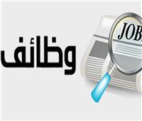 محافظة الجيزة تعلن عن وظائف جديدة للشباب برواتب مجزية
