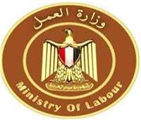 وزارة العمل: 2387 فرصة عمل في 36 شركة خاصة بـ9 محافظات