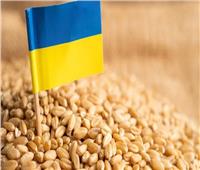 أوكرانيا: تقليص الصادرات الزراعية بنسبة 29% في يوليو‎ الماضي