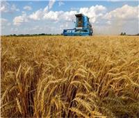 الأمم المتحدة تؤكد سعيها لمواصلة تصدير الأسمدة الروسية ضمن اتفاقية تصدير الحبوب