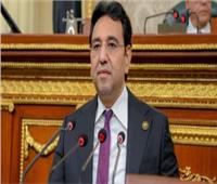 برلماني: مصر بذلت جهودا ضخمة لتعزيز ريادة وتنافسية قناة السويس