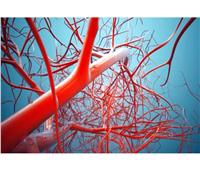 لعلاج أمراض القلب.. طريقة لهندسة الأوعية الدموية 