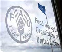منظمة الأغذية و الزراعة ترفع توقعاتها للإنتاج العالمي من الحبوب في 2023