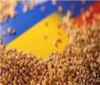 أوكرانيا: ارتفاع محصول الحبوب بشكل فاق التوقعات