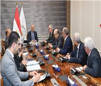 وزير الري: خدمة قضايا المياه في أفريقيا خلال رئاسة مصر الحالية للأمكاو 