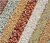 أسعار الحبوب والبقوليات اليوم الخميس 10 أغسطس