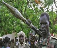  أبو شامة: دول غرب أفريقيا لن تقبل استمرار الانقلابات العسكرية