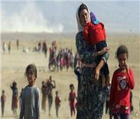 الحكومة العراقية: عودة 293 نازحا إيزيدياً طوعيا إلى سنجار