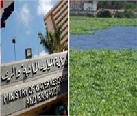 الري تكشف حقيقة استخدام «مياه النيل» في زراعة الأراضي الجديدة.. فيديو