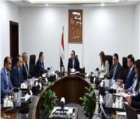 رئيس الوزراء يتابع التيسيرات المقدمة للمصريين بالخارج في مختلف القطاعات