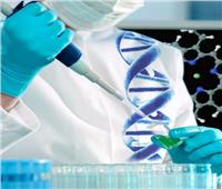 كل ما تريد معرفته عن برنامج التكنولوجيا الحيوية الجزيئية بجامعة حلوان 