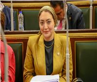 برلمانية: إطلاق وثيقة معاش للمصريين بالخارج حماية تأمينية للمغتربين