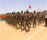 مجموعة "إيكواس" تدين الهجمات المسلحة ضد جنود النيجر
