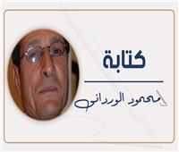 محمود الوردانى يكتب : جودة وجميل (ا)