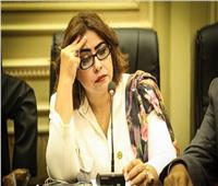 برلمانية: المرحلة الثانية لمبادرة «أتكلم عربي» تهدف لتعزيز الهوية المصرية 