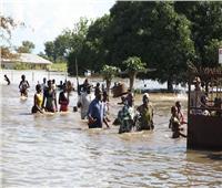 مصرع 27 شخصًا وعشرات آلاف المتضررين من فيضانات النيجر منذ يوليو