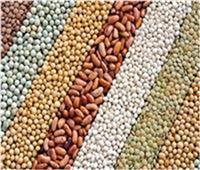 أسعار الحبوب والبقوليات في السوق المصرية اليوم الإثنين 21 أغسطس