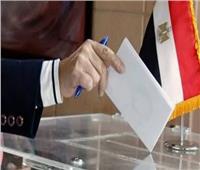 وليد حمزة: إعلان نتيجة الإنتخابات الرئاسية من خلال الهيئة الوطنية