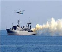«الدفاع الأوكرانية» تعلن التصدي لهجوم جوي روسي على سفن بالبحر الأسود
