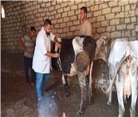 قافلة بيطرية لتحصين وعلاج رؤوس الماشية والدواجن بمركز ومدينة فايد